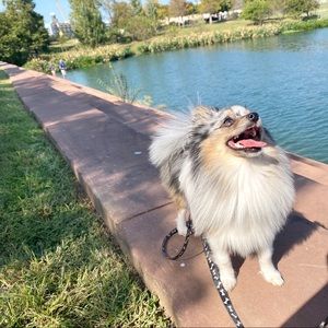 Meet your Posher, Quynh